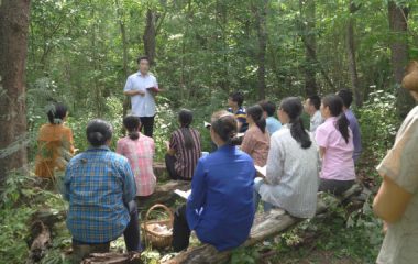 forest church