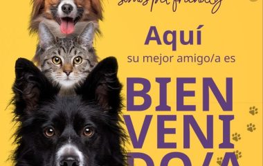 WhatsApp Image 2025-05-21 at 15.17.32