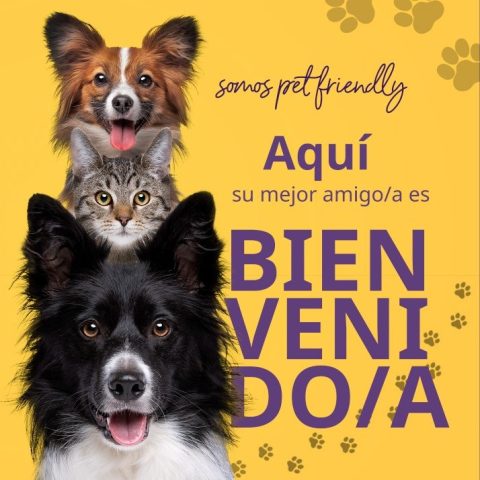 WhatsApp Image 2025-05-21 at 15.17.32